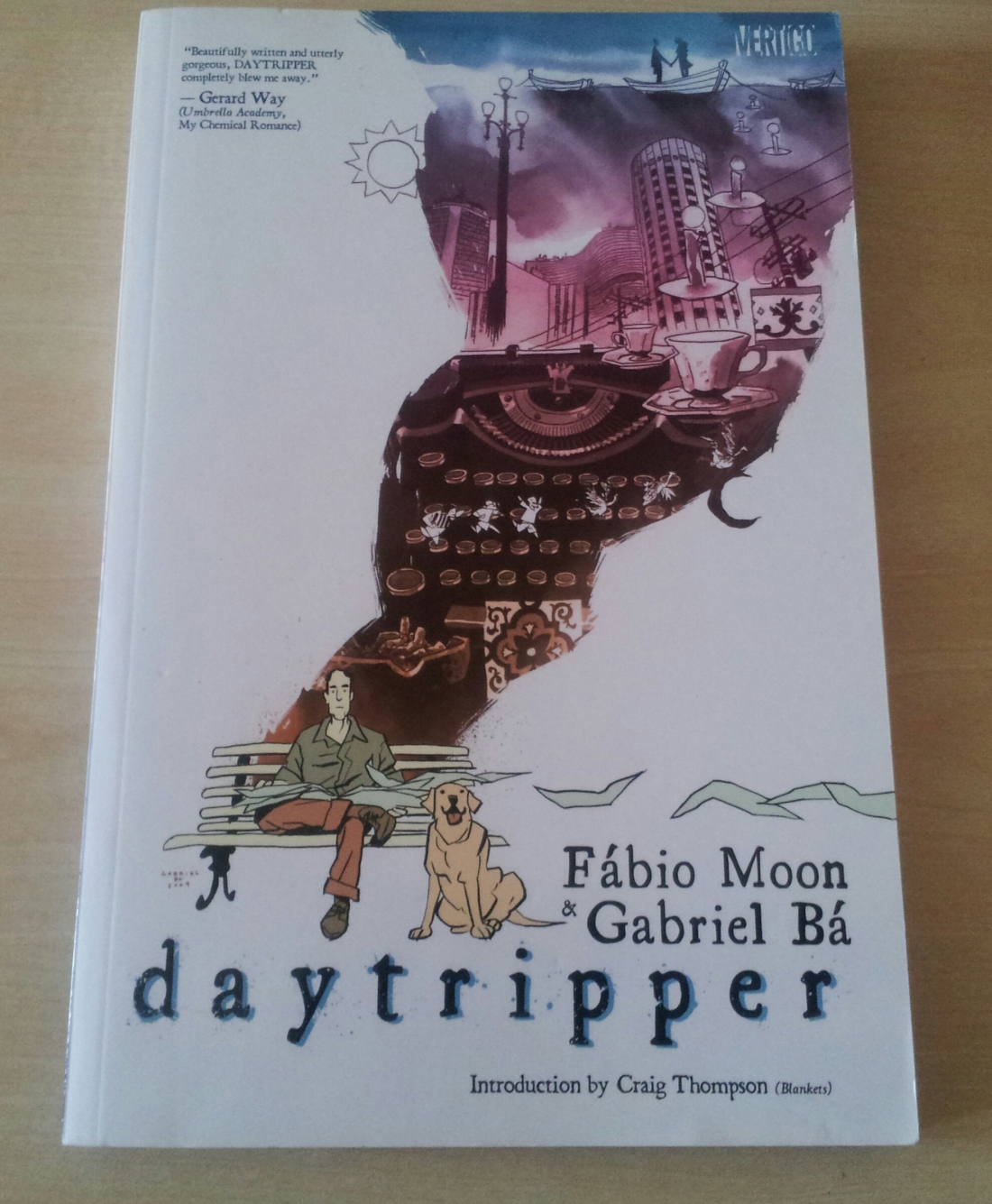 Recent Comic Purchases - Daytripper